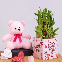 Charismatic Rose and Teddy Bear