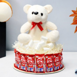 Day Full of Teddies Beauty