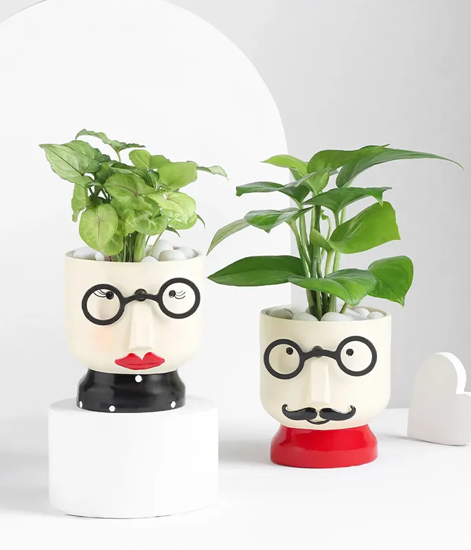 Plants
