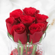 Glass Full of Red Rose