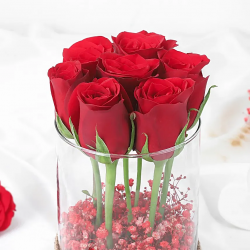 Glass Full of Red Rose